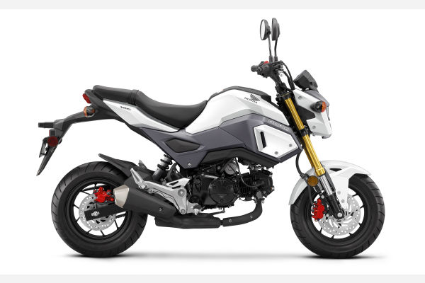 Honda Scoopy, MSX 125 ‘Grom’ Spotted Testing